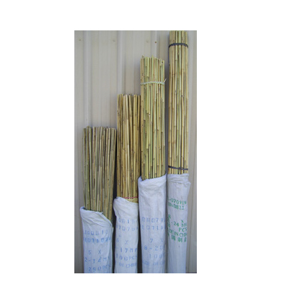Bamboo Stake Natural 2' x 5/16